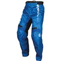 Blue/White