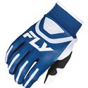 Blue/White