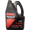 Kawasaki 20W50 Oil