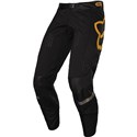 Black/Gold