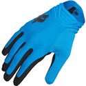 Blue/Black
