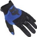 Black/Blue