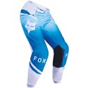 Blue/White