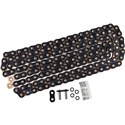 Black/Gold