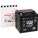 Yuasa Maintenance Free VRLA Battery