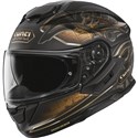 Black/Bronze