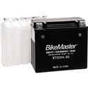 Bikemaster High Performance Maintenance Free Battery