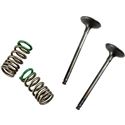 Pro X Stainless Steel Exhaust Valve And Spring Kit