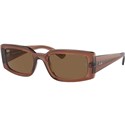Transparent Brown/Dark Brown