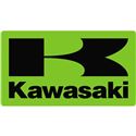 D'COR Visuals Kawasaki O.E.M Icon Decal