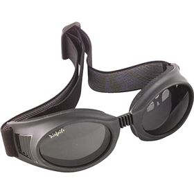 Airfoil 7600 Series Goggle