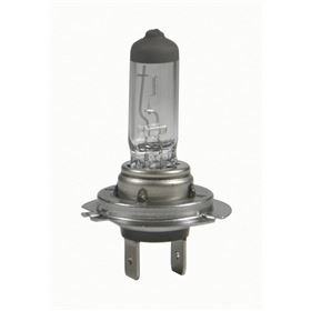 Candlepower Halogen Headlight H7 Bulb