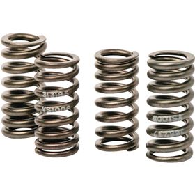 Hot Cams Valve Spring Kit