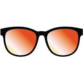 KTM Team Polarized Sunglasses
