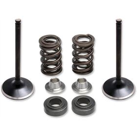 Kibblewhite Titanium Intake Spring Kit - .450