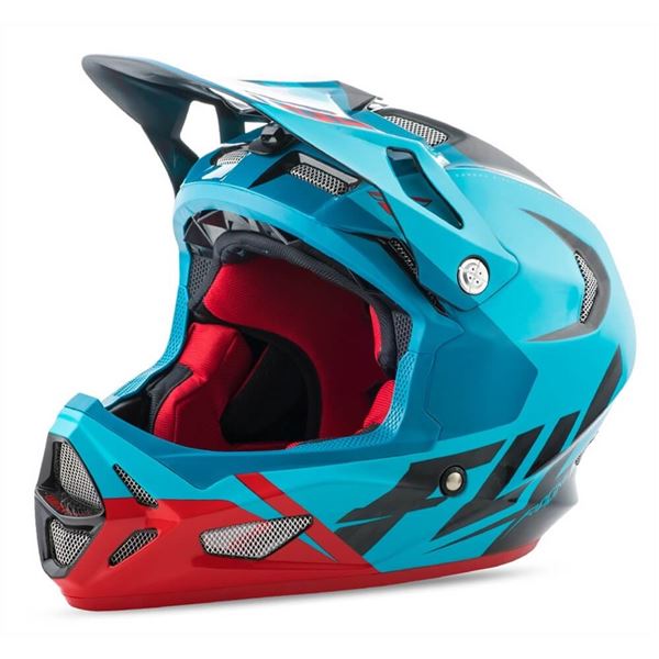 Fly Racing WERX Ultra Helmet