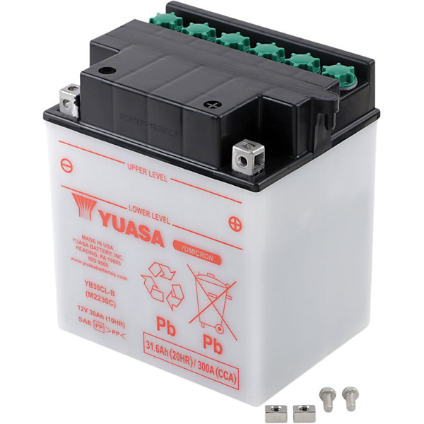 Yuasa YB30CL-B Yumicron 12V Battery, YUAM2230C