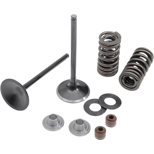 Kibblewhite Black Diamond Stainless Steel Intake Only Valve and Spring Conversion Kit - .350