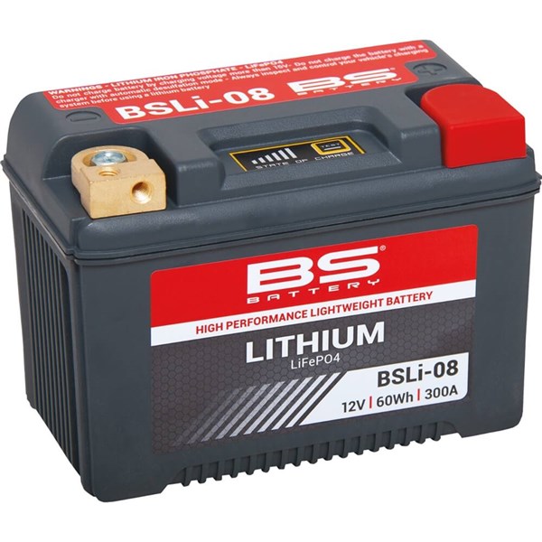 BS Battery Lithium LiFePO4 Battery – BSLi-08