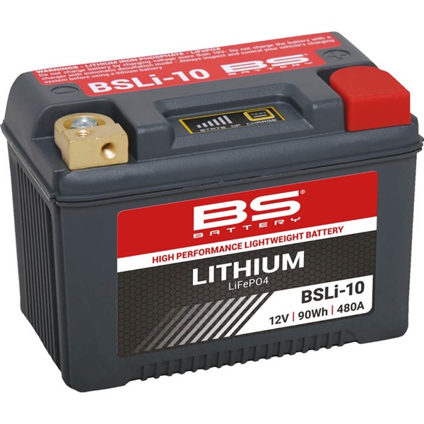 BS Battery Lithium LiFePO4 Battery – BSLi-10