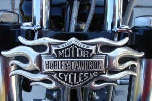 Harley mitigates losses, excites investors