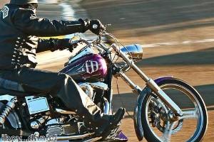 Harley-Davidson Launches 2012 Models Early