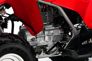 2013 Honda TRX250X - Engine