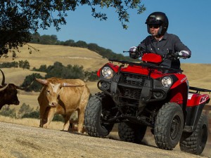 2014 Kawasaki Brute Force 300 Action