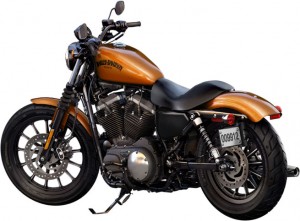 2014 Harley-Davidson Sportster Iron 883 - Amber Whiskey