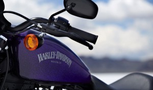 2014 Harley-Davidson Sportster Iron 883 - Tank Detail