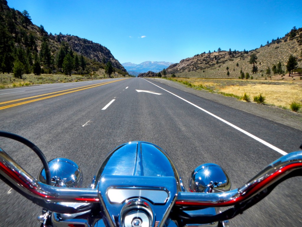 View of Open Road with Handlebars