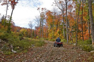 ATV on Leafy Trail