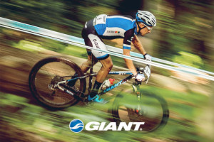 Giant Bicycles