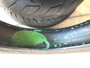 Slime in tire